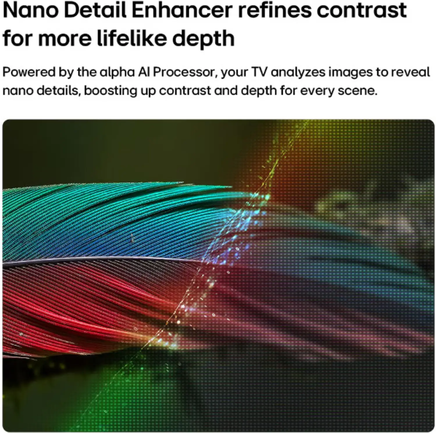 LG 55-inch 4K NanoCell TV — Feature