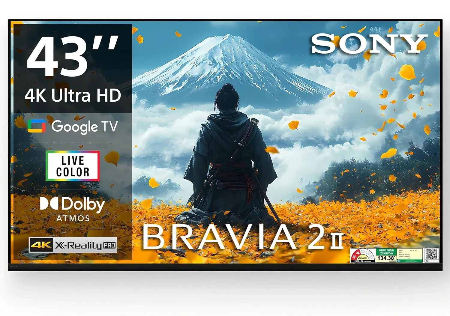 Sony 43-inch 4K LED TV